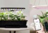 LetPot: The Best Plant and Gardening Gifts for 2025