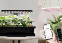 LetPot: The Best Plant and Gardening Gifts for 2025