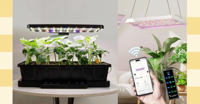 2bf578d6-276f-4204-8c9f-93a91ebc2208