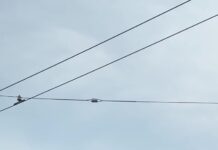 Vibe: Провокаційні Білборди для Техно-Інсайдерів