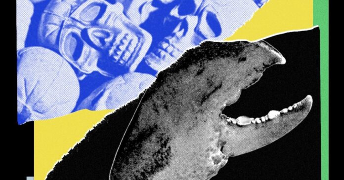 6f395f36-83ac-405e-972c-e31397836489