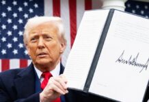 Технології, торгівля та тривожні тенденції: щотижневий огляд