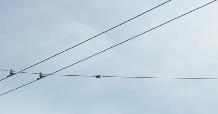 e48d272e-1ad9-4fb3-8ed5-d899d9956166