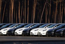 Розкол у Лояльності до Tesla: Коли «Культ» Починає сумніватися в Лідері