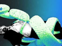 A IA interromperá o capital de risco?