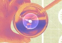 Вирощені в лабораторії сперматозоїди: потенційний прорив у лікуванні чоловічої безплідності